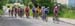 05_Le_peloton_des_2ème_Cat__derrière_les_échappés